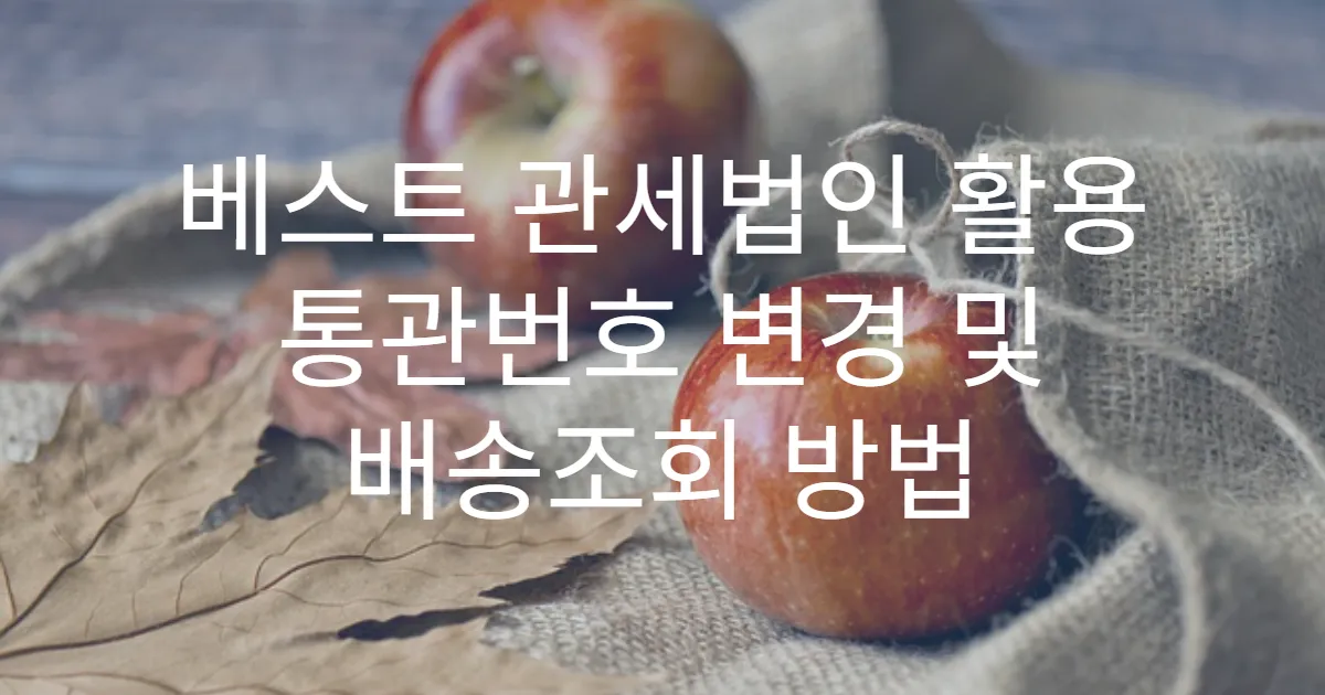 베스트 관세법인 활용 통관번호 변경 및 배송조회 방법