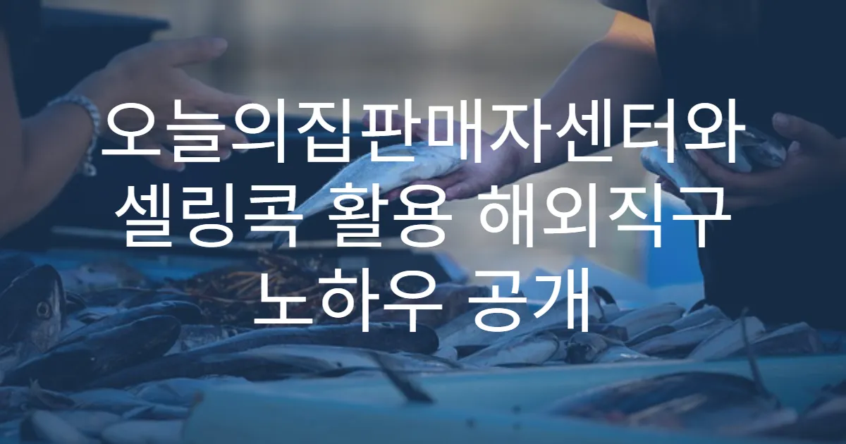 오늘의집판매자센터와 셀링콕 활용 해외직구 노하우 공개