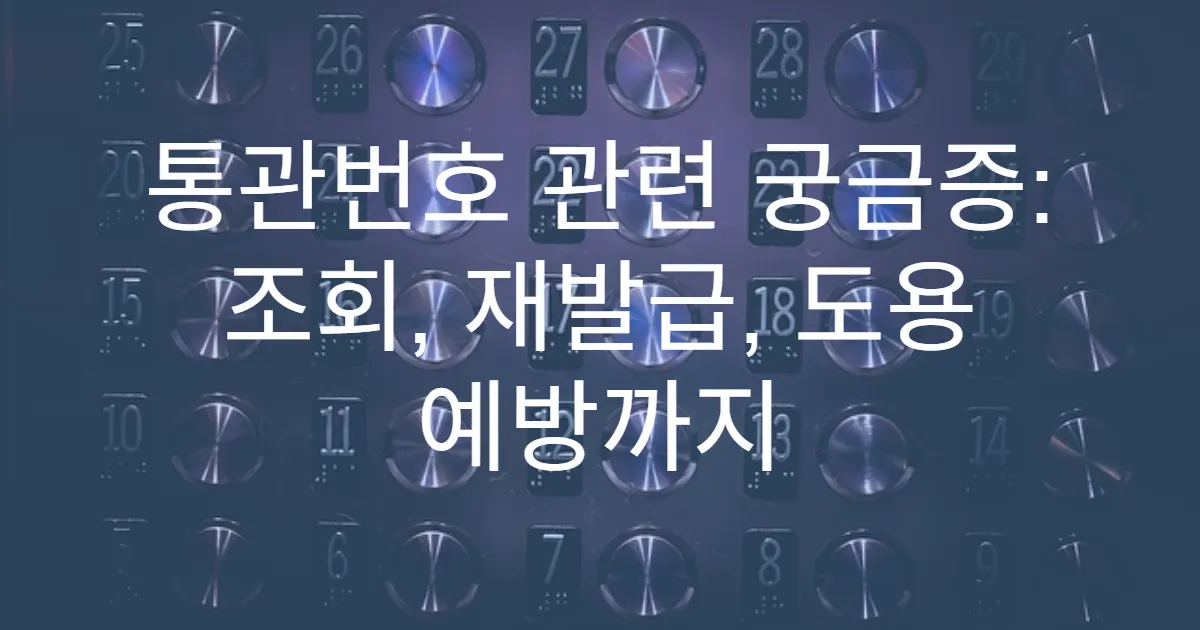 통관번호 관련 궁금증: 조회, 재발급, 도용 예방까지