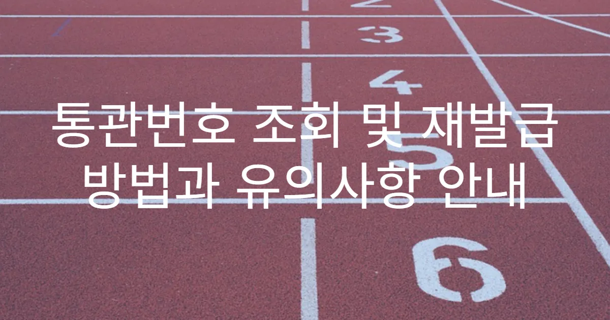 통관번호 조회 및 재발급 방법과 유의사항 안내