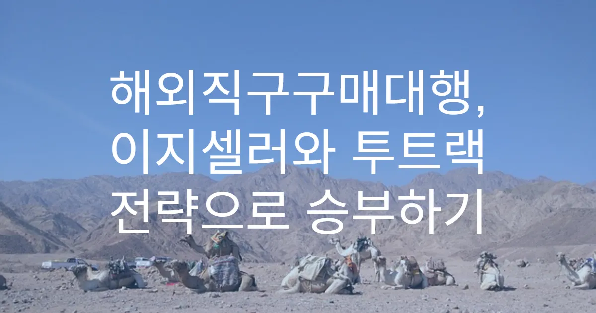 해외직구구매대행, 이지셀러와 투트랙 전략으로 승부하기