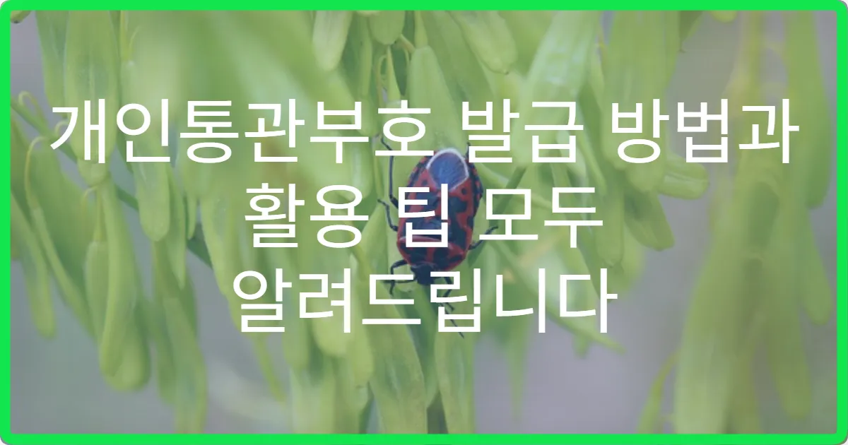 개인통관부호 발급 방법과 활용 팁 모두 알려드립니다