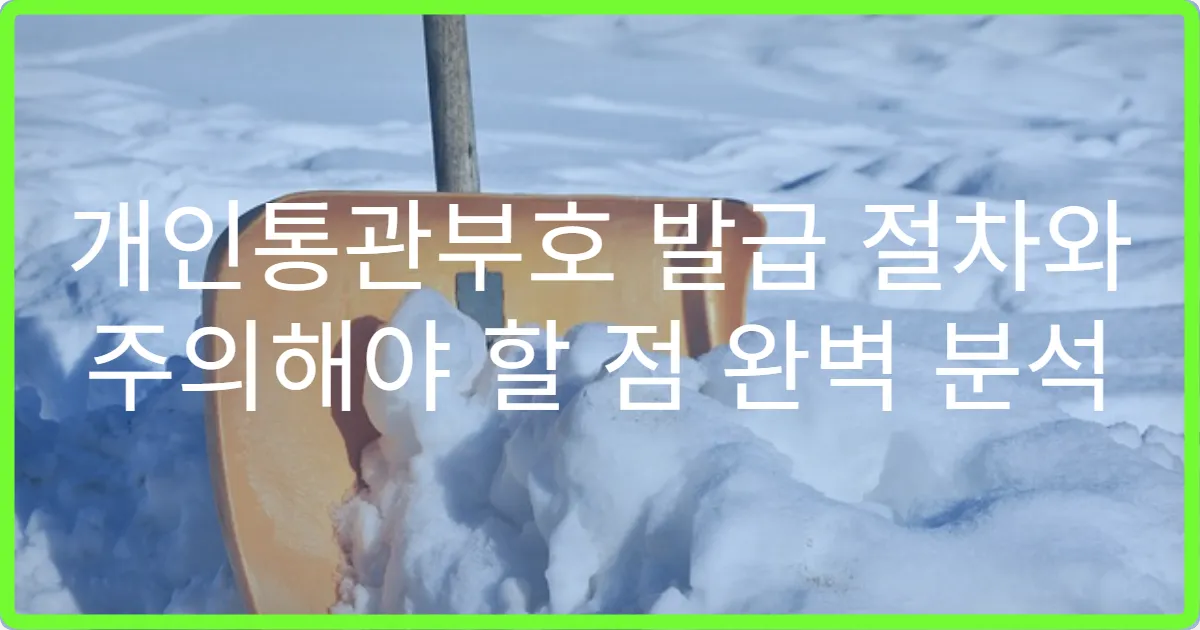개인통관부호 발급 절차와 주의해야 할 점 완벽 분석