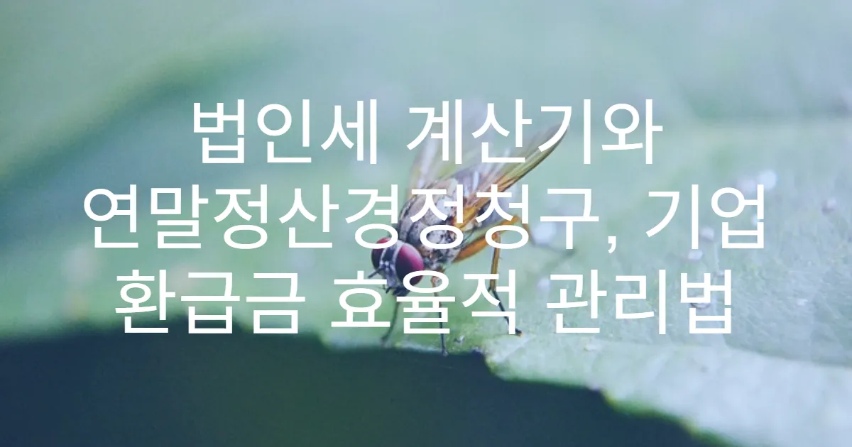 법인세 계산기와 연말정산경정청구, 기업 환급금 효율적 관리법