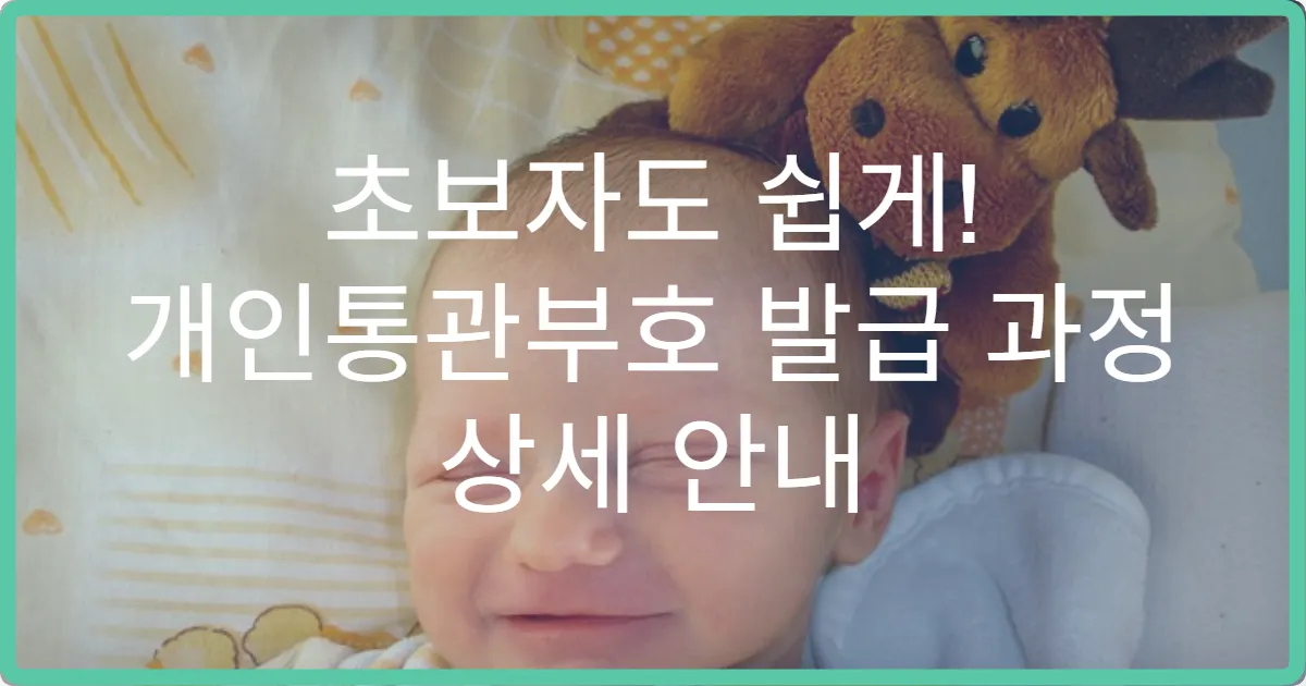 초보자도 쉽게! 개인통관부호 발급 과정 상세 안내