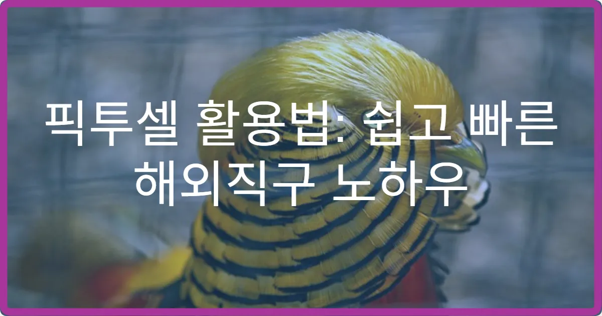 픽투셀 활용법: 쉽고 빠른 해외직구 노하우