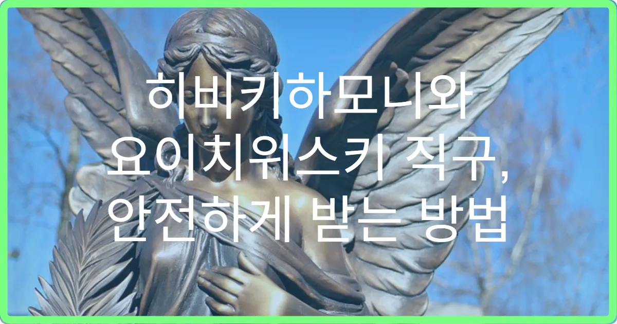 히비키하모니와 요이치위스키 직구, 안전하게 받는 방법
