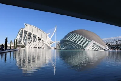 Customs Clearance Concept