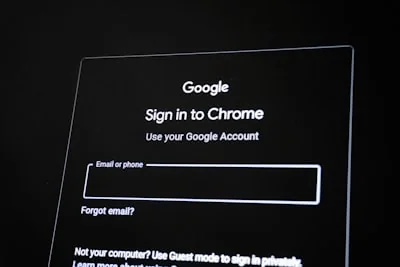 Online security verification