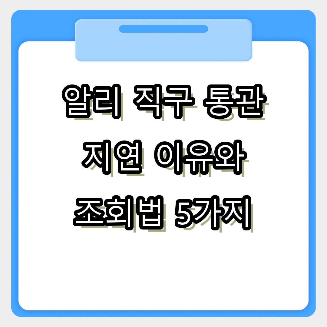 알리 직구 통관 지연 이유와 조회법 5가지