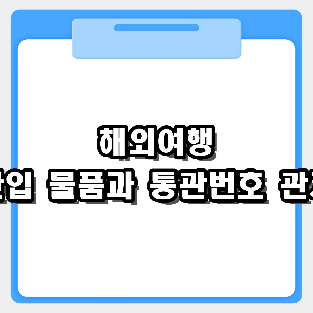 해외여행 입국 시 반입 물품 신고와 개인통관고유부호 필요한 상황 정리