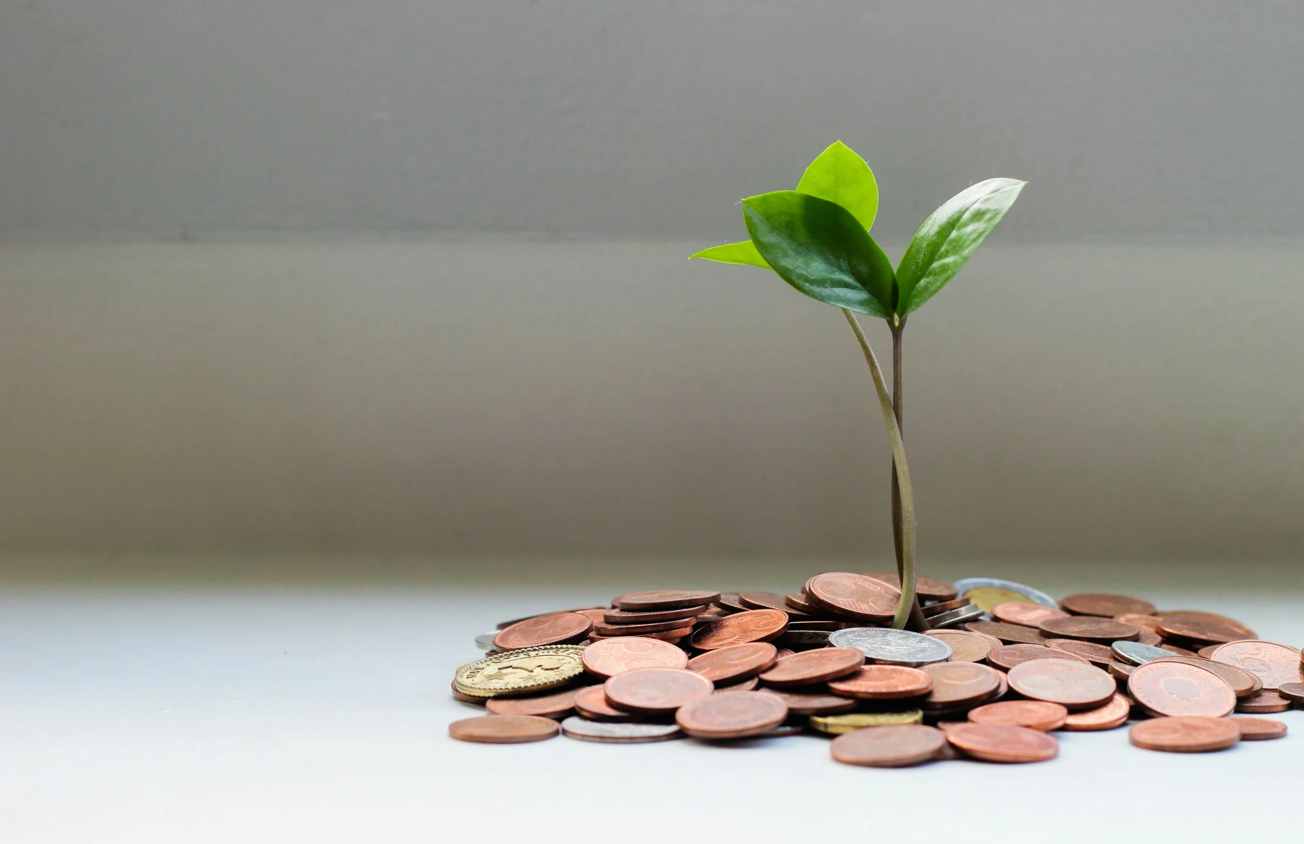 청년미래적금 우대형 정부 기여금 혜택 이미지